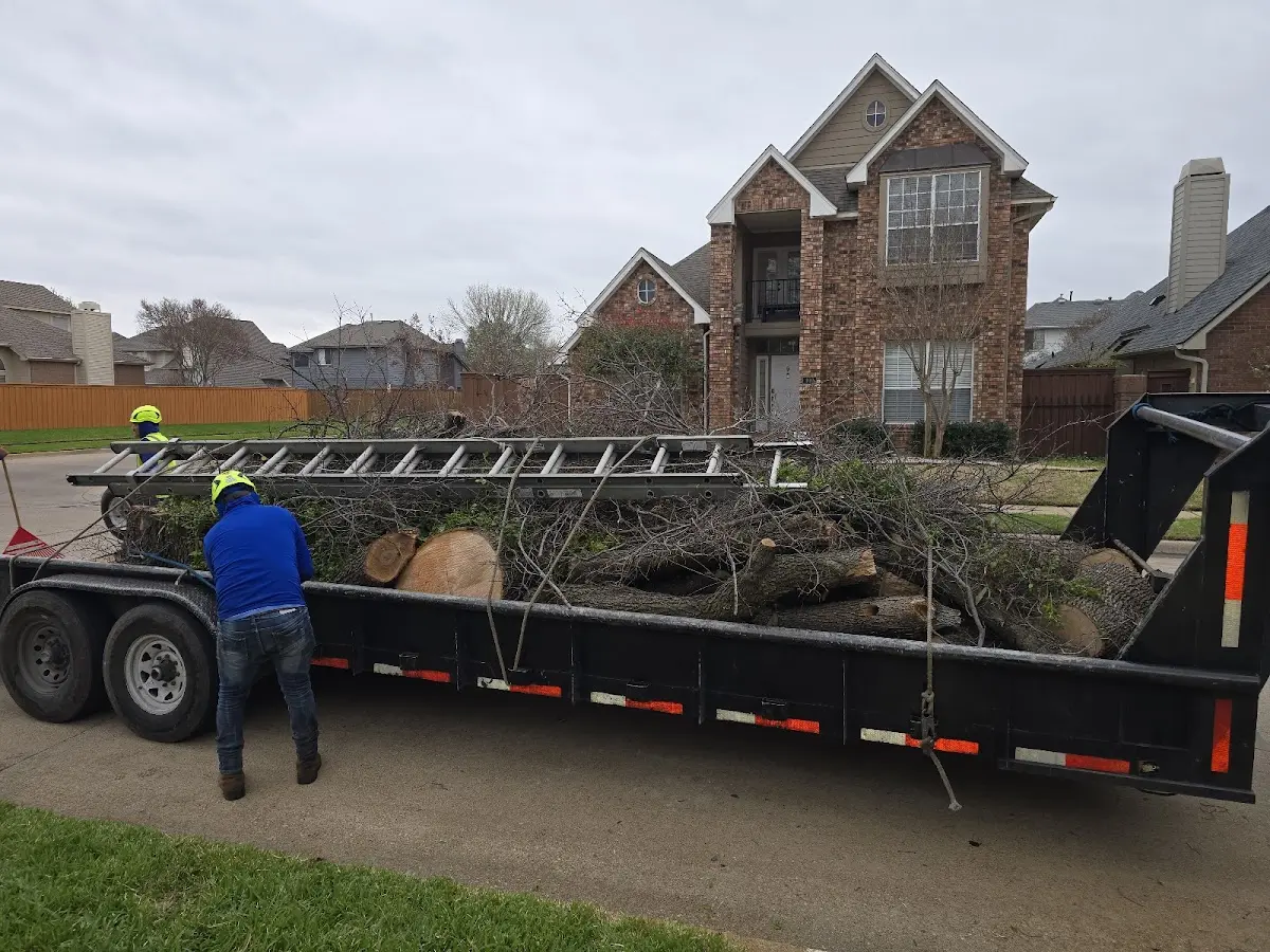 Expert Tree Fertilization with proper safety equipment in Crockett Mills